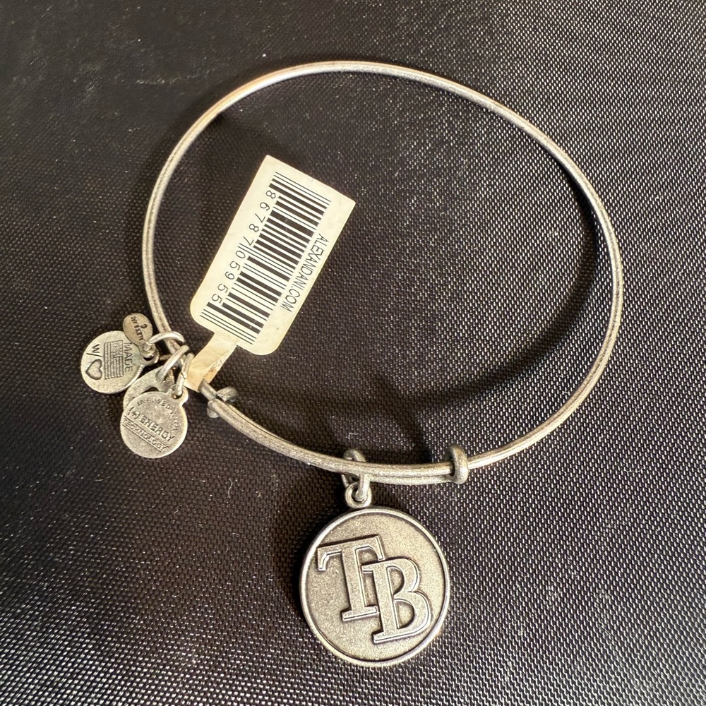 Alex and Ani Silver TB Charm Bangle